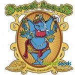 Sweet Seeds Sweet Mix AUTO semena neobsahují THC 10 ks – Zboží Dáma