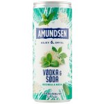 Amundsen + Soda bezinka 6% 0,25 l (plech) – Zbozi.Blesk.cz