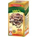 Terezia Company Hlíva Ústřičná 60 kapslí – Hledejceny.cz
