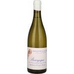 Domaine A.F. Gros Bourgogne Hautes Cotes de Nuits Blanc 2023 Bílé 12,5% 0,75 l (holá láhev) – Hledejceny.cz