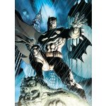 Clementoni Batman 1000 dílků – Zboží Dáma