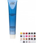 iAM4u iPIGMENTS Direct – profesionální přímé pigmenty pro tónování, oživení barvy a lesk vlasů, 100 ml ODSTÍN: GOLDEN – Zboží Dáma
