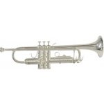 Bach TR650 S – Zbozi.Blesk.cz