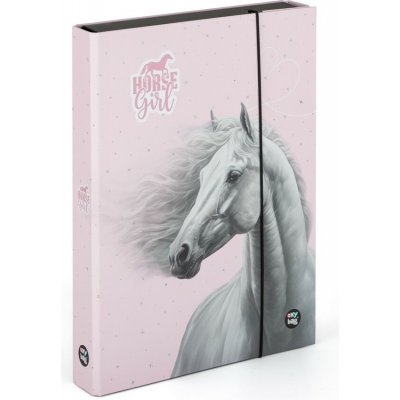 Oxybag A4 Jumbo kůň romantic Horse Girl – Hledejceny.cz