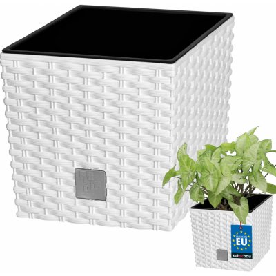Prosperplast Rato low květináč 17 cm bílý – Sleviste.cz