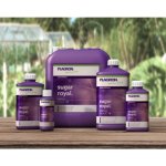 Plagron Sugar Royal 250 ml – Zboží Dáma