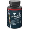 GF nutrition TRIBULUS TriComplex 120 kapslí