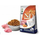 N&D Pumpkin Dog Adult Medium & Maxi Grain Free Lamb & Blueberry 5 kg