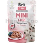 Brit Care Puppies Mini Lamb Fillets in Gravy 85 g – Hledejceny.cz