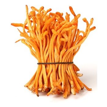 Energie života CORDYCEPS BIO 100 g