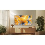 TCL 98C6K – Hledejceny.cz