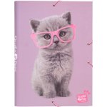 CurePink 3 klopy Studio Pets Kočky Cats 26 x 34 x 2 cm CSG0074 – Zbozi.Blesk.cz