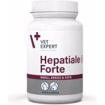VetExpert Hepatiale Forte Small breed & cats 40 kapslí – Zboží Mobilmania