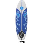 vidaXL Surfové prkno 170 cm bumerang – Sleviste.cz