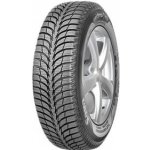 Sava Eskimo Ice 195/60 R15 88T – Sleviste.cz