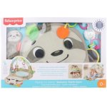 Fisher Price Hrací dečka s lenochodem – Hledejceny.cz