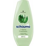 Schauma balzám 7-Herbs Freshness 250 ml – Sleviste.cz