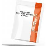 Nuvys-Nutrition Beef Hydrolized Collagen borůvka 1 kg – Hledejceny.cz