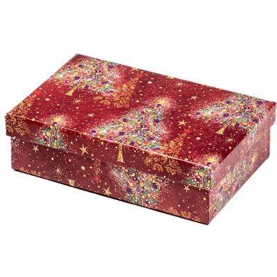 ARGUS Dárková krabice vánoční papír 25341172 – Zboží Živě