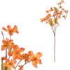 Květina Tungovník, oranžová barva KUL006 OR