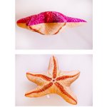 Gaby Polštář Hvězdice mořská 50 cm – Zboží Dáma