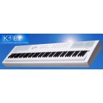 Kurzweil KA E1 – Hledejceny.cz
