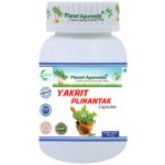 Planet Ayurveda Yakrit Plihantak Zdravá játra a slezina 500 mg 60 kapslí – Hledejceny.cz