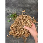 Mech - rašeliník 100 g – Zboží Dáma