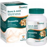 Himalaya Herbals Wellness Boswellia na kosti a klouby, 60 tablet – Hledejceny.cz