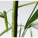 Purito Mighty Bamboo Panthenol Cream posilující hydratační krém s panthenolem 100 ml – Zboží Dáma