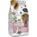 Witte Molen Puur Large Parakeet & Cockatoo 2 kg – Hledejceny.cz