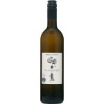 Chateau Selešťany Rulandské šedé 2020 13% 0,75 l (holá láhev) – Hledejceny.cz