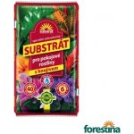 Forestina Substrát Pokojové rostliny 40 l – Hledejceny.cz