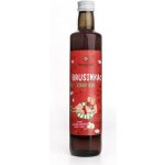 Sonnentor Brusinka sirup bio 500 g – Zbozi.Blesk.cz