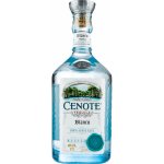 Cenote Blanco 40% 0,7 l (holá láhev) – Zboží Dáma