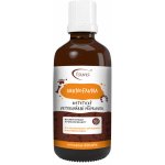 AromaFauna Přípravek IMUNOFAUNA k posílení obranyschopnosti 50 ml – Hledejceny.cz