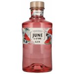 June Gin Watermelon 37,5% 0,7 l (holá lahev) – Zboží Dáma