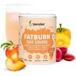 Blendea Fatburn Day Drink 100 g – Hledejceny.cz