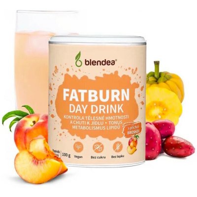 Blendea Fatburn Day Drink 100 g – Hledejceny.cz