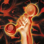 Gabriel Peter - Secret World Live 2LP - Vinyl – Sleviste.cz