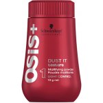 Schwarzkopf Osis Session Label Dust it flex 10 g – Zbozi.Blesk.cz