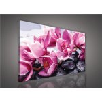 ForWall Obraz na plátně Orchidej na kameni 100 x 75 cm – Hledejceny.cz