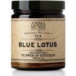 Anima Mundi Blue Lotus květ intuice 28 g – Hledejceny.cz