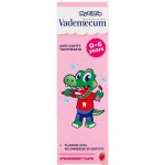 Vademecum Junior Jahoda dětská 50 ml – Hledejceny.cz