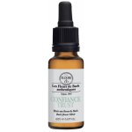 Bachovy květové esence Sebedůvěra Self Confidence 20 ml – Hledejceny.cz