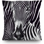 AG Design Foto polštář Zebra CN 3605 3D 45x45 – Zbozi.Blesk.cz