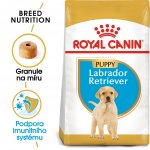 Royal Canin Labrador Retriever Puppy 12 kg – Zboží Mobilmania