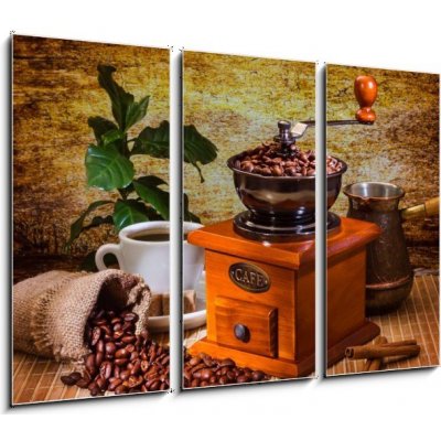 Obraz 3D třídílný - 105 x 70 cm - grinder and other accessories for the coffee brusky a další příslušenství pro kávu – Zbozi.Blesk.cz