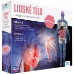 Albi Lidské tělo – Zboží Dáma