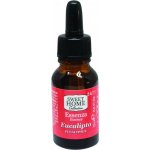 Sweet Home Eucaliptus Eukalyptus vonná esence 15 ml – Hledejceny.cz